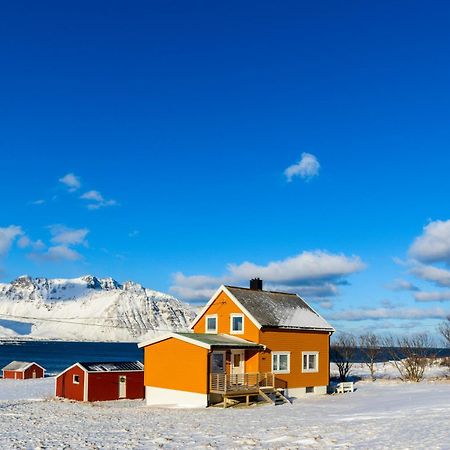Lillevik Lofoten Gimsoy Екстериор снимка