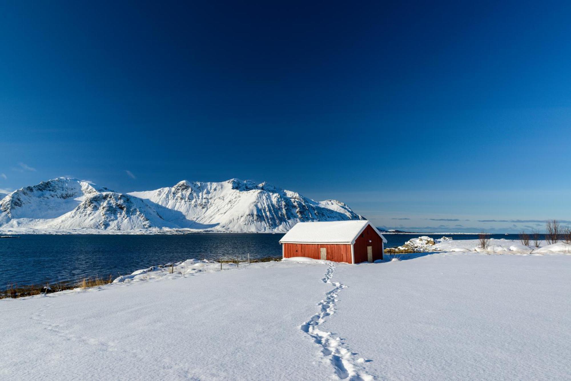 Lillevik Lofoten Gimsoy Екстериор снимка