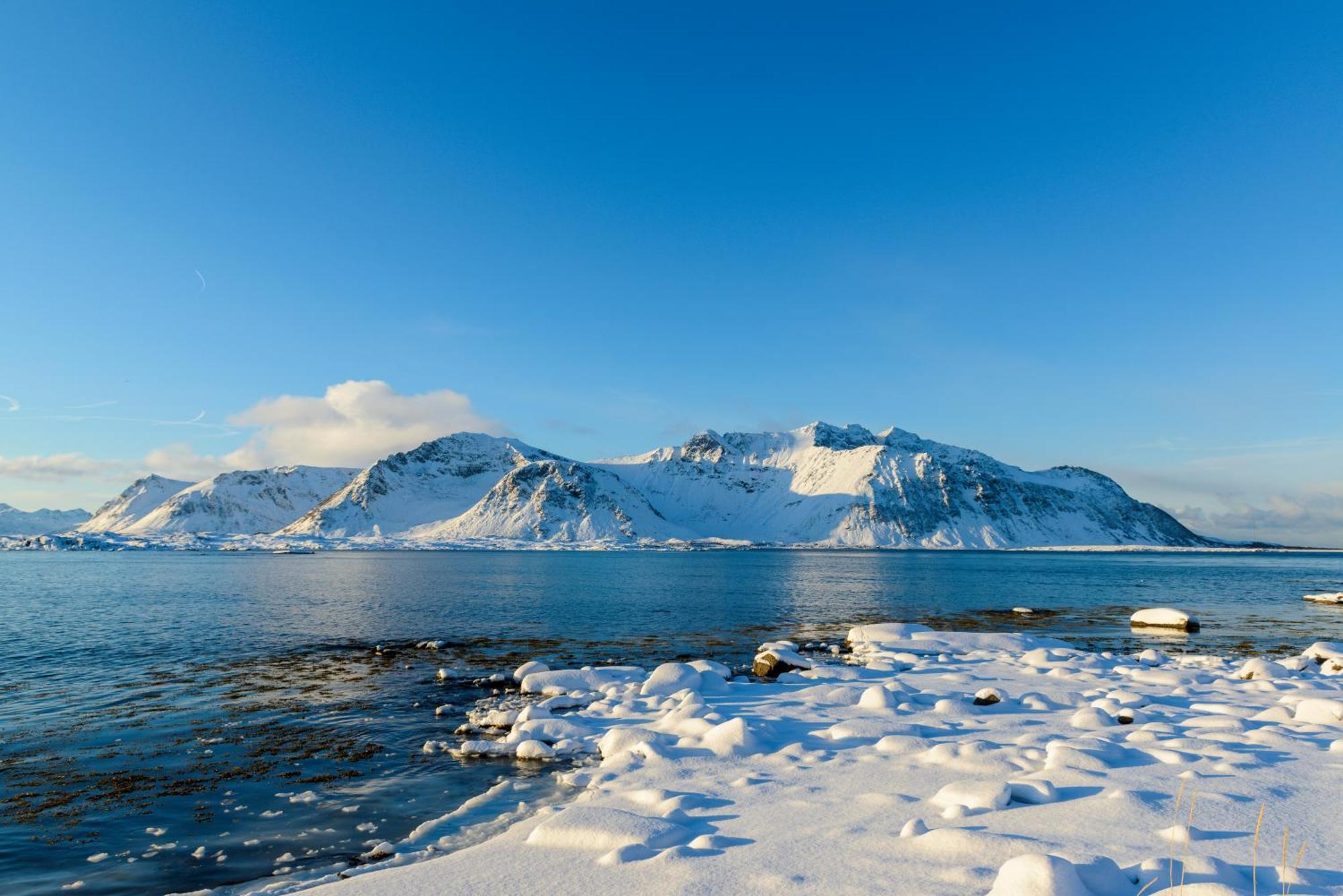 Lillevik Lofoten Gimsoy Екстериор снимка